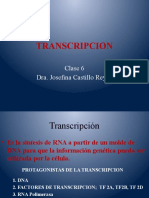 Tema 6 Transcripcion