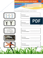 Worksheet Perkem Vege Hewan