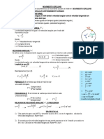Movimiento Circular