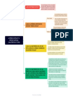 La Medida Cautelar y El Proceso Cautelar, Características y Otros