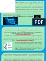 (2) El ADN portador de caracteristicas geneticas. (1)