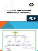 PPT Bryopita, Pteridopita, Gimnospermae