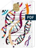 Lab BM2022 Reporte Acidos Nucleicos