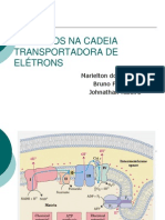 Fármacos na cadeia transportadora de elétrons