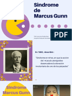 Sindrome de Marcus Gunn - Original