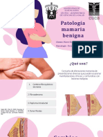 Presentación. Patología Mamaria Benigna