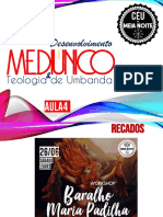 Aula 4 - Proteções do Médium