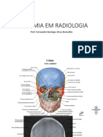 Anatomia em Radiologia Light