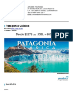 16908Patagonia+Clasica