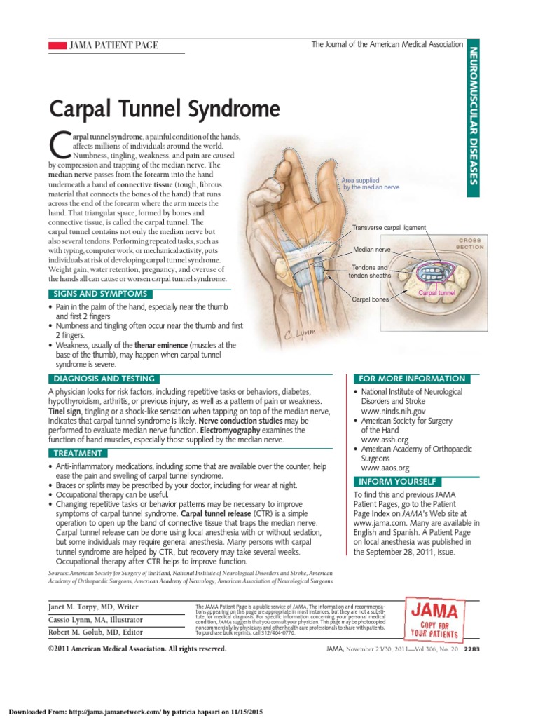 jpg15028 2283 2283 | Download Free PDF | Carpal Tunnel Syndrome | Hand