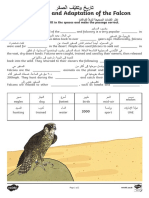 AR UI2 Sc 2 the Falcon Activity Sheet Arabic English Ver 5 (1)