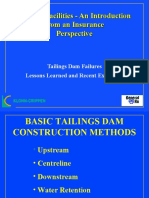 Tailings Failure1