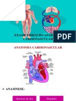 Avaliação Do Sistema Circulatório