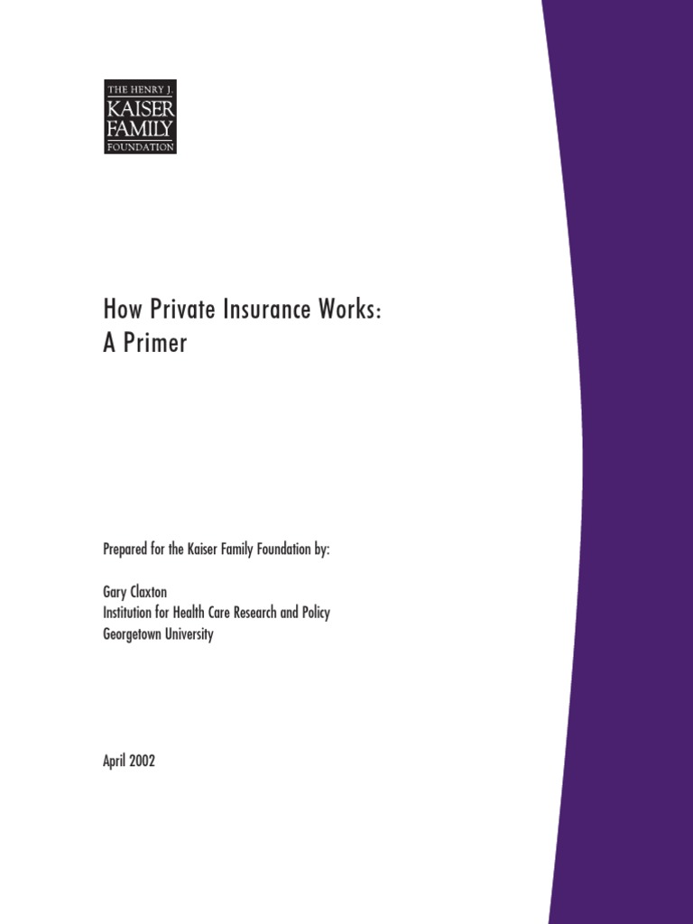 How Private Insurance Works A Primer Report PDF