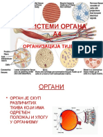 Sistemi Organa