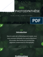 Projet Photosynthese