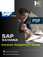 Account Assignment Model 1693210116