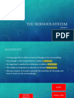 The Nervous System