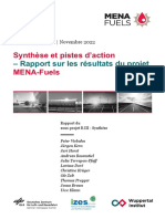MENA-Fuels Teilbericht 14 Synthesebericht FR v2