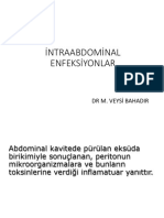 5.i̇ntraabdominal Enfeksiyonlar (M.Veysi Bahadır)