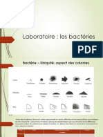 Tutoriel Des Laboratoires Les Bacteries Et Protistes-2