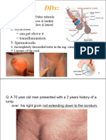 L2 Hernia 2