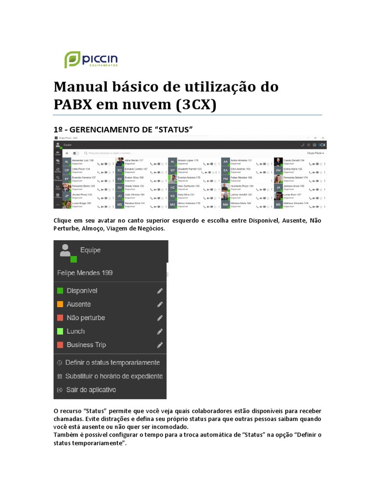 Manual do PABX em Nuvem 3CX | PDF | Tecnologia da Informação | Programas