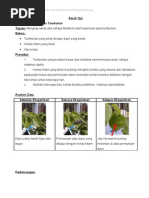 Download Amali 3 by Terry Yao SN66808814 doc pdf