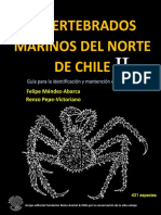 Invertebrados Marinos Del Norte de Chile: Felipe Méndez-Abarca Renzo Pepe-Victoriano