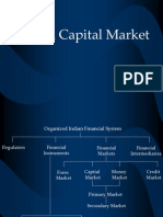 14784493-indian-capital-market-090924162838-phpapp02