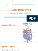 Aparato Digestivo I 1 (HISTOLOGÍA)