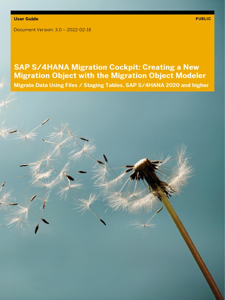 Create Migration Objects in S/4HANA | PDF | Object (Computer Science ...