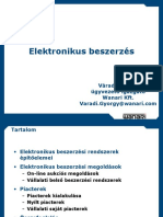 Elektronikus Beszerzés: Váradi György Ügyvezető Igazgató Wanari KFT