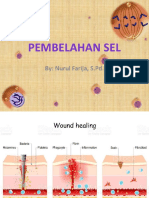 Pembelahan Sel