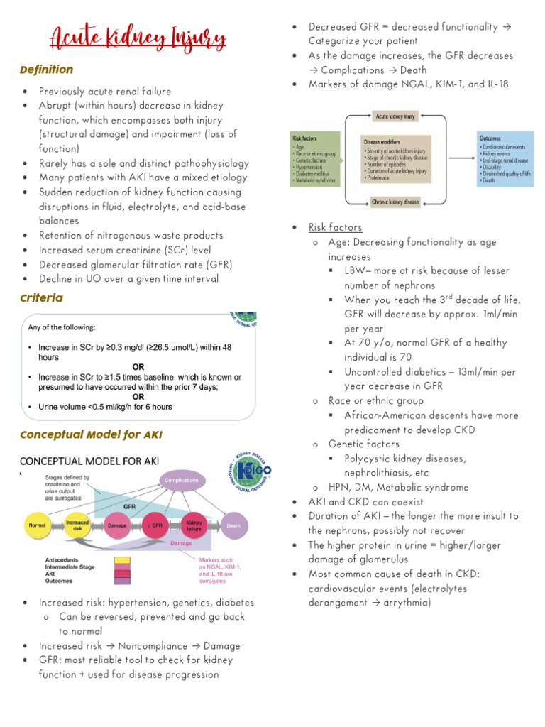 Understanding Acute Kidney Injury (AKI) | PDF | Kidney | Chronic Kidney ...