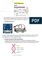 Tools Used in Genetic Engineering