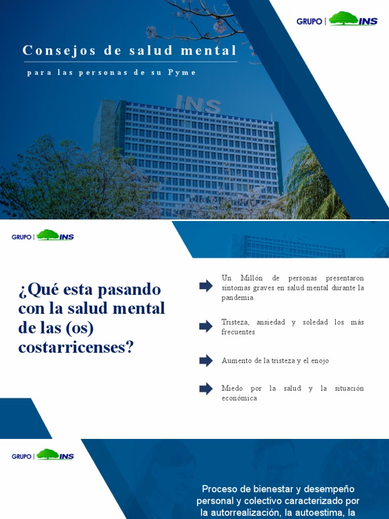 Consejos para mejorar la salud mental | PDF | Salud mental | Las emociones