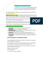 Derechos Humanos Perspectiva Internacional