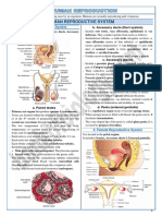 3 Human Reproduction-Sample Notes 2021