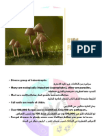 B104 Abstract (Fungi)