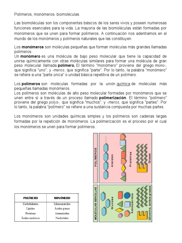 Monómeros y polímeros en biomoléculas | PDF