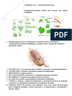 Estudo Dirigido 1 - Citomorfologia Bacteriana