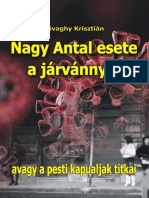 Kivaghy Krisztian - Nagy Antal Esete A Jarvannyal