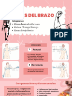 Líneas Del Brazo