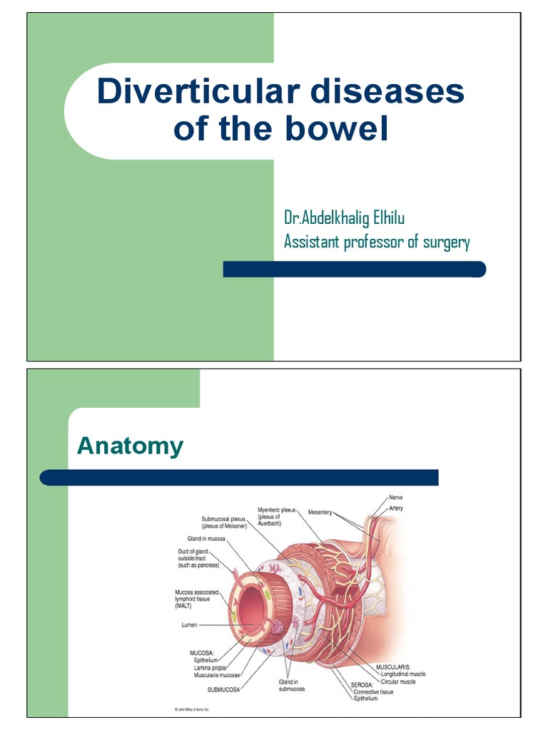 L08 Diverticular Diseases PDF Digestive System Medical Specialties