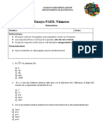 Ensayo Paes Numeros