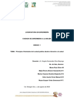 Principios Orientados de La Salud Publica Desde El Derecho A La Salud