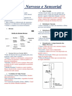 Sistema Nervoso e Sensorial