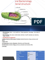 Lecture 1 Bacterial Structure