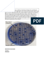 Coliform Enumeration